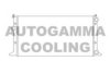 AUTOGAMMA 103778 Radiator, engine cooling